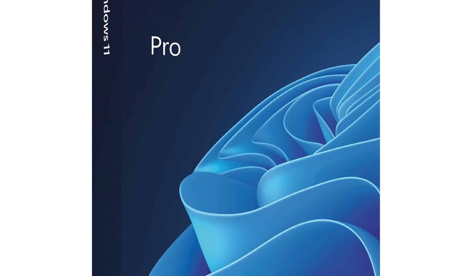microsoft project 2024
